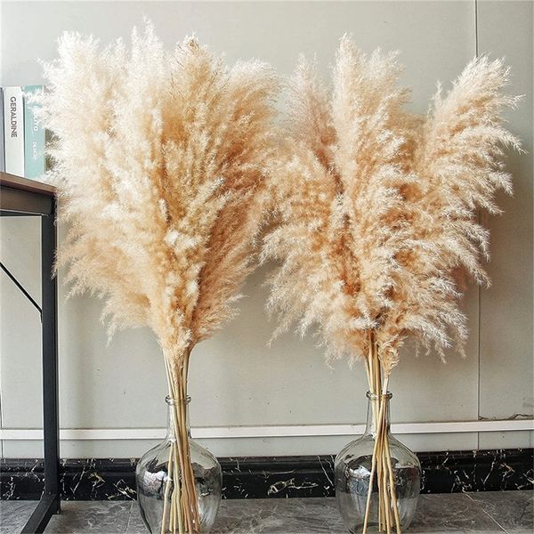 Decorative Wreaths 80-140cm Grass Large Tall xxl Fluffy Pampas Dried wers Boho Plant for Vase Home Wedding Decor wer Arrangement 230313