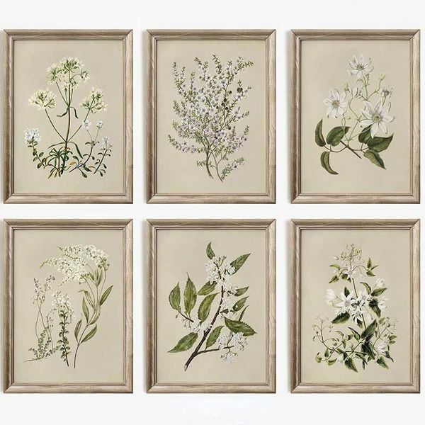 Vintage Beauty Style Botânico Flor Floral Gallery Art Poster Canvas Pintura Impressões de parede Impressão para a sala Decoração de casa Dec
