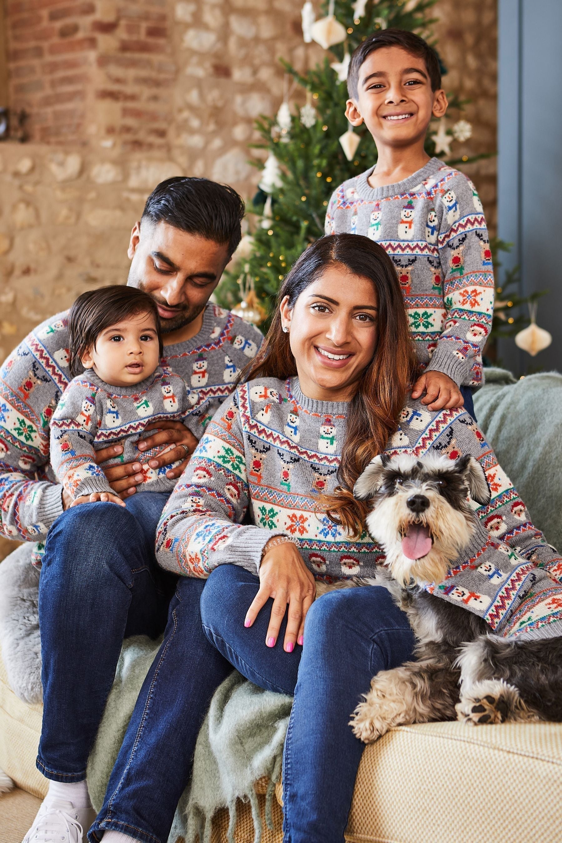 Grey Christmas Fair Isle Pets Jumper S Matron Inn