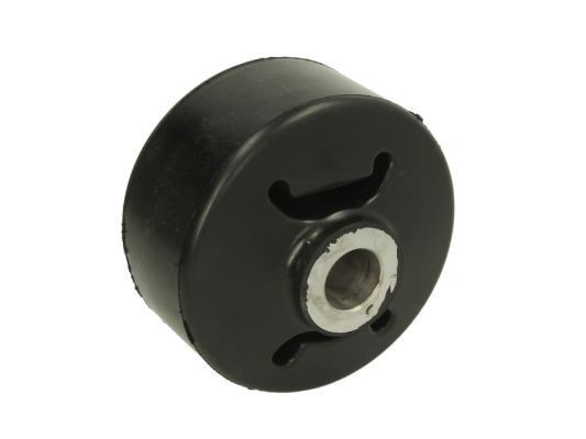 Mounting, leaf spring S-TR STR-120910