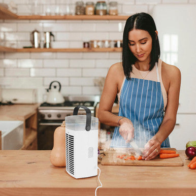 iMounTEK 4-In-1 Portable Air Conditioner Fan