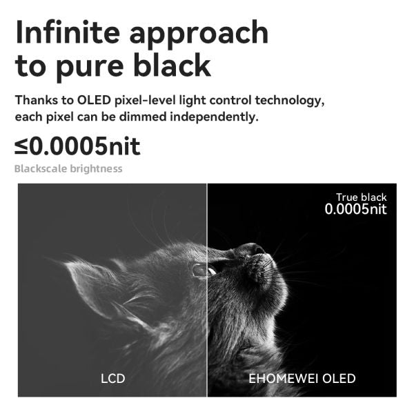 EHOMEWEI OLED Portable Monitor Om Series 13.3&quot; FHD 60HZ 100%DCI-P3 16:9 For Switch Laptop
