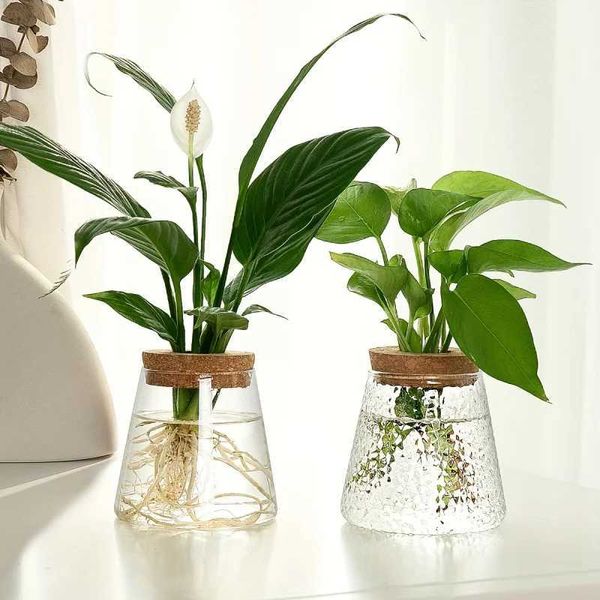 Vases 1pc glass flowerpot breeding station vase rack desktop hydroponic plant cuttings office home decoration z241212