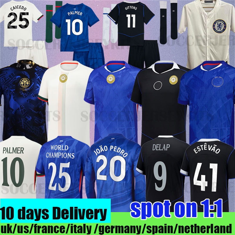 chelseaese fc jersey 2025 2026 CFC soccer jerseys PALMER MADUEKE ENZO SANCHO MUDRYK NKUNKU chelseaae football shirts Limited-Edition Snake Pre-Match