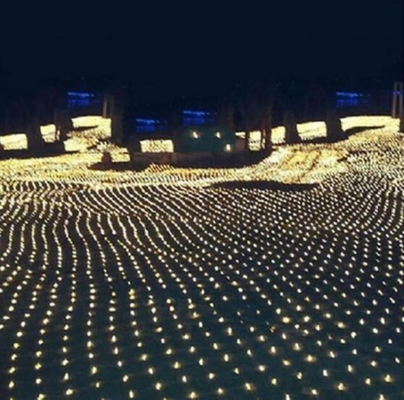 10M 8M 2000LED Christmas Lights Christmas Net Light Fairy Tale Party Garden Wedding Decoration Curtain Lights DHL 2016091