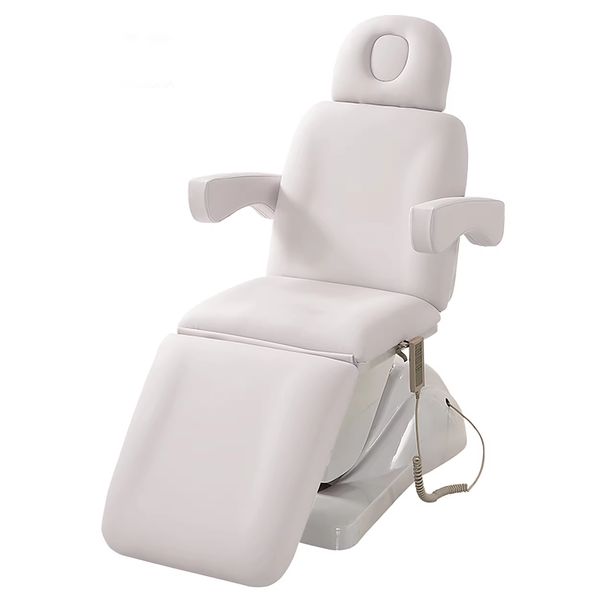 Electric Beauty Bed Massage Aesthetic Facial Beds Tattoo Dental Spa Treatment Table Salon Bed with 3 Adjustable Electrical Motors