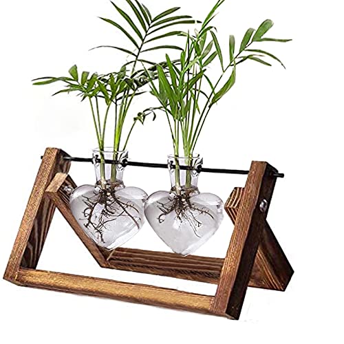 Kingbuy Glass Desktop Planter with Retro Wooden Stand and Plant Terrarium Vase (2 Hearts) for Indoor Home Office Desk Decor Accessories Heart 2 Bulb