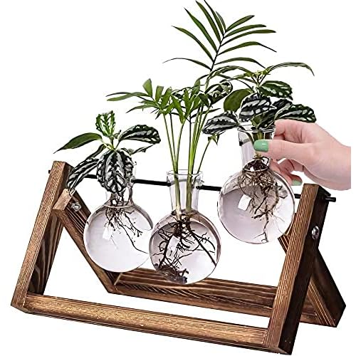 Kingbuy Desktop Glass Planter Iron and Wooden Stand Plant Terrariums for Indoor Office Desk Decor Accessories, 3 Bulb Vases, Brown 3 Bulb Vase (C-type