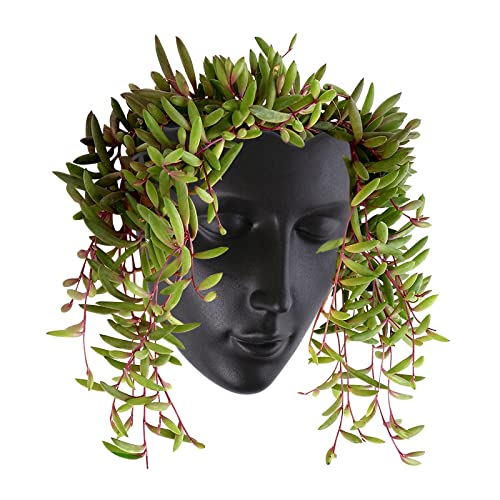 Notakia Face Planter Pot Wall Mounted Outdoor-Indoor Planter with Drainage for Succulents, Cactus, and Small Plants Unique Home Decor Gift for Friends