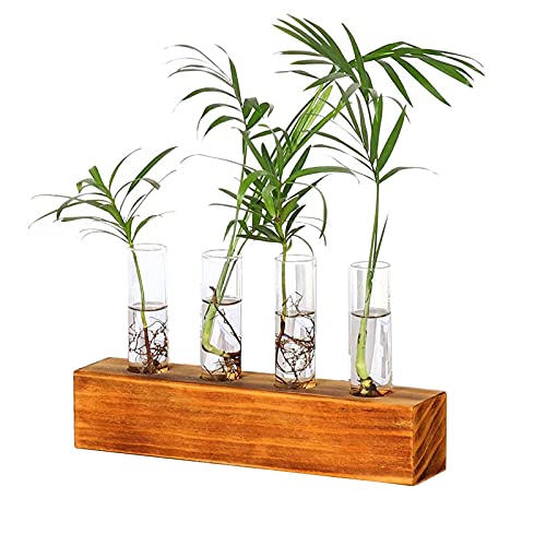 Kingbuy 4 Test Tubes Glass Planter Terrarium Flower Vase with Wooden Holder for Propagation Hydroponic Plant Home Office Desktop Decoration, Brown 4 T