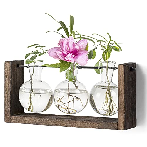 Kingbuy Plant Terrarium with Wooden Stand, Glass Planter Desktop Propagation 3 Bulb Vase Metal Holder Retro Rack for Hydropoincs Plants Home Office De