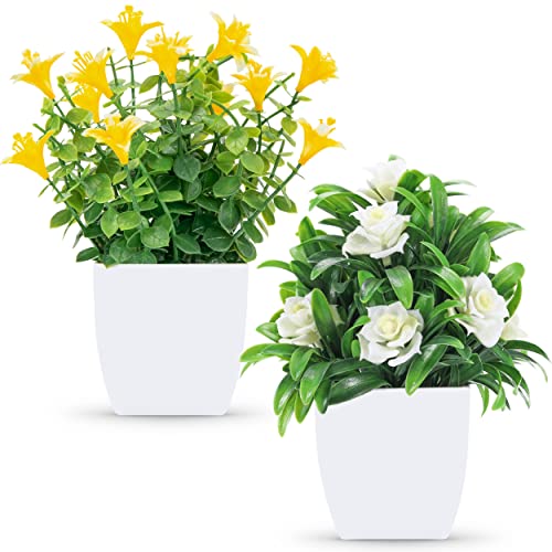 Der Rose 2 Pack Fake Plants Mini Artificial Faux Plants with Flowers for Home Office Table Room Farmhouse Decor Indoor