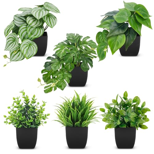 Der Rose 6 Pack Fake Plants Small Artificial Plants in Black Pots for Home Office Desk Bathroom Aesthetic Farmhouse Room Decor Indoor White 6