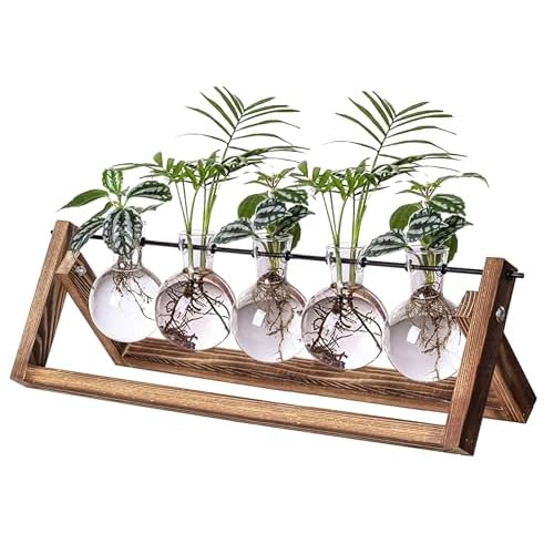Kingbuy Plant Propagation Station with 5 Bulb Vases Retro Wooden Stand Desktop Glass Planter Terrarium for Hydroponics Plants Home Office Décor