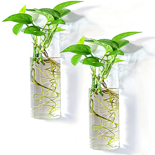 2 Pack Wall Hanging Planters Glass Terrariums - Cylindrical Plants Holders Air Plants Succulents Planters Flowers Glass Wall Vase Containers for Decor