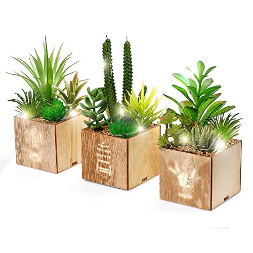 BEGONDIS Artificial Succulents with LED Lights in Wooden Box, 3-Piece Faux Cactus Plants for Home Decor, Office Table Centerpiece, Wedding Decoration