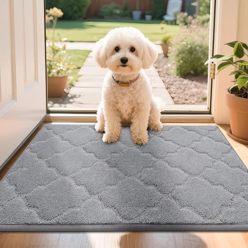 COSY HOMEER Front Door Mat 50x80 CM, Dirt Trapper Floor Mat, Polyester Welcome Door Mat for Kitchen Room Office Entryway Doors, Absorbent Non-Slip Ind