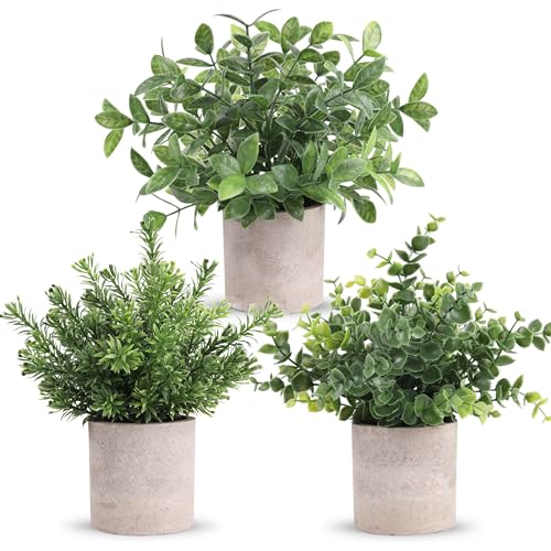 Der Rose 3 Pack Mini Potted Fake Plants Artificial Plastic Eucalyptus Plants Centerpieces for Table Home Office Desk Accessories Farmhouse Room Classr
