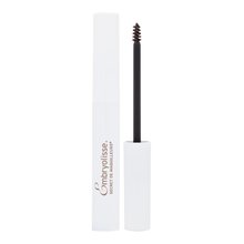 Embryolisse Artista Secret Volumizing Mascara för ögonbryn 5 ml Ljusbrun