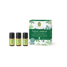 Primavera Set Forest Energy ( 3 x 5 ml ) - Aroma first aid kit - 5 ml