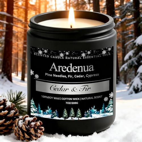 Cedar & Fir Candle – Winter Candles | Holiday Scented Candles, 7oz Jar Soy Candle for Home Scented - 50H Burn - Evergreen Forest & Fresh Pine Scent,