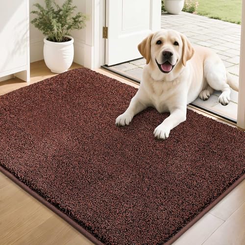 COSY HOMEER Nonslip Door Mats Indoor, 60x90cm Washable Dirt Trapper Welcome Front Doormat for Entryway Room Hallway, Absorbent Indoor Floor Mat for Mu