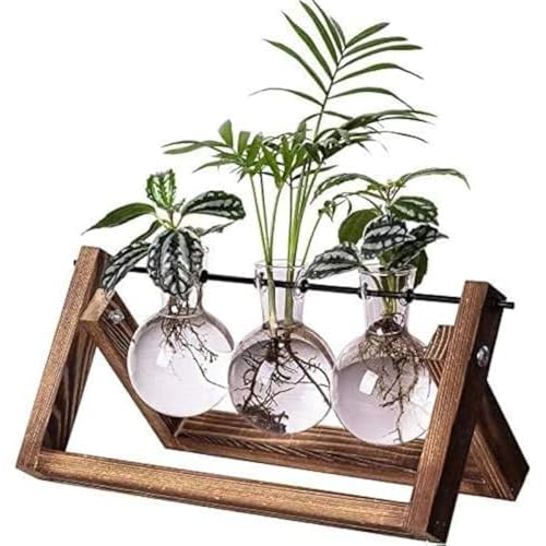 Kingbuy Plant Terrarium Propagation Station - 3 Glass Bulb Vases with Retro Wooden Stand Boho Desktop Planter for Hydroponics Home Garden Indoor Home
