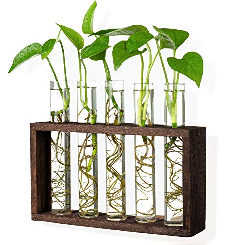 5 Tube Wooden Plant Propagation Station, Tabletop Glass Terrarium Holder for Cuttings Hydroponics, Home Office Desk Decor Gift for Women Mom Plant Lov