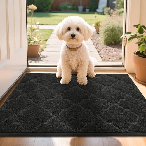 COSY HOMEER Front Door Mat 50x80 CM, Dirt Trapper Floor Mat, Polyester Welcome Door Mat for Kitchen Room Office Entryway Doors, Absorbent Non-Slip Low