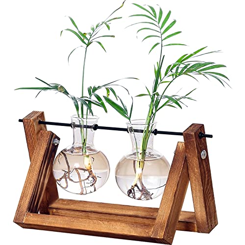 Kingbuy Glass Desktop Planter with Retro Wooden Stand and Plant Terrarium vase (2 Bulbs) for Indoor Office Desk Decor Accessories 2 Bulb Vase