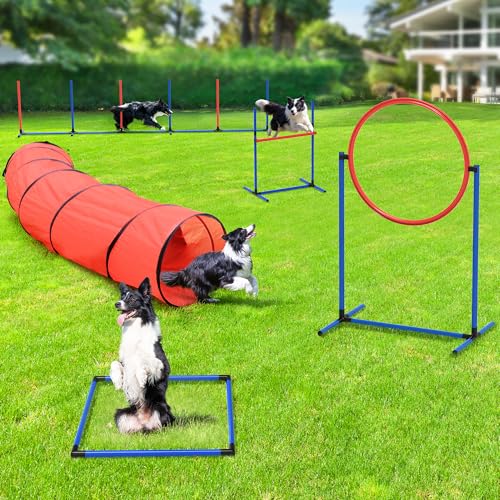 YITAHOME Dog Agility Equipments: Includes Flirt Pole, 3 Flying Discs, Agility Tunnel, 3 Jumps, 6 Weave Poles, Pause Box, Agility Course Set for Backya