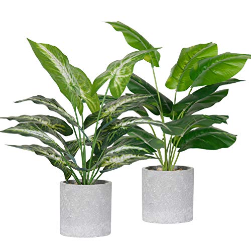 Der Rose 2 Pack Fake Plants Artificial Tropical Faux Plants Indoor for Office Desk Home Sage Green Decor Taro Leaf and Greenery Leaf