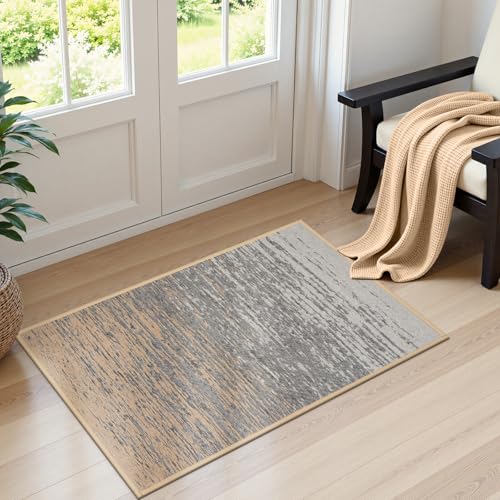 Moynesa Washable Small 2x3 Rugs for Kitchen Non Slip, Modern Throw Entryway Rug for Bathroom Bedside Farmhouse, Soft Front Door Mat Indoor Entrance wi