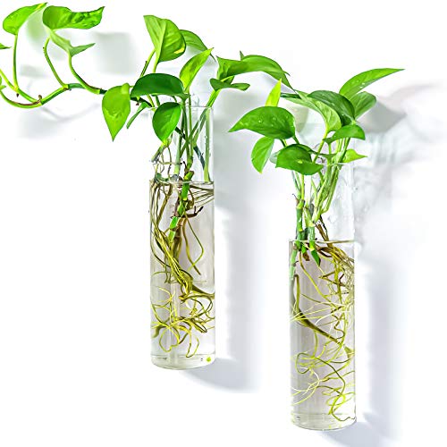 Kingbuy Wall-Mounted Plant Terrarium Propagation Station - 2 Cylinder Hanging Glass Tubes Planter for Hydroponic Plants, Indoor Wall Vases & Decorativ