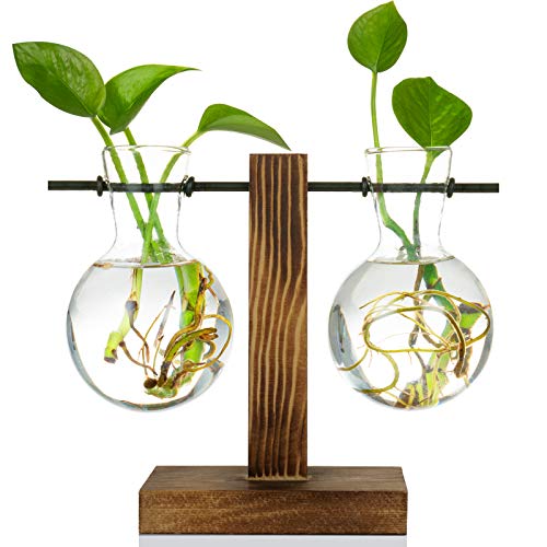 Kingbuy Retro Glass Bulb Vase for Plant Propagation - Hydroponic Planter with Wooden Stand, Indoor Water Propagation Station, Desktop Terrarium Glass