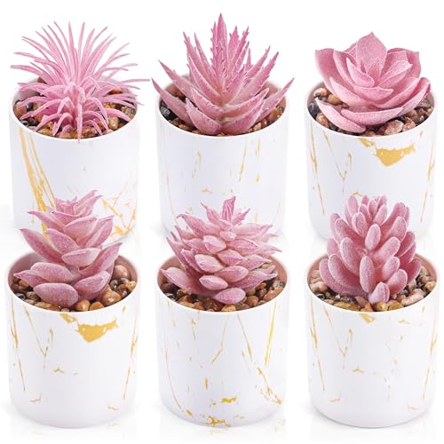 Der Rose 6 Pack Fake Plants Succulents Plants Artificial for Bathroom Home Office Desk Accessories for Women