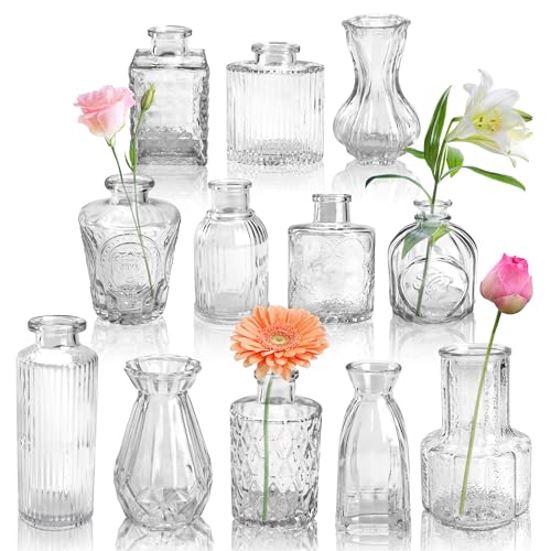 Der Rose Glass Bud Vases Set of 12, Small Bud Vases for Flowers, Rustic Wedding Centerpieces and Home Decor Clear 12