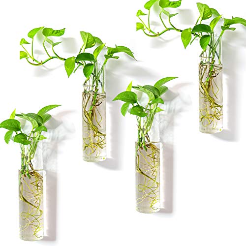 Kingbuy Wall-Mounted Plant Terrarium Propagation Station - 4 Cylinder Hanging Glass Tubes Planter for Hydroponic Plants, Indoor Wall Vases & Decorativ
