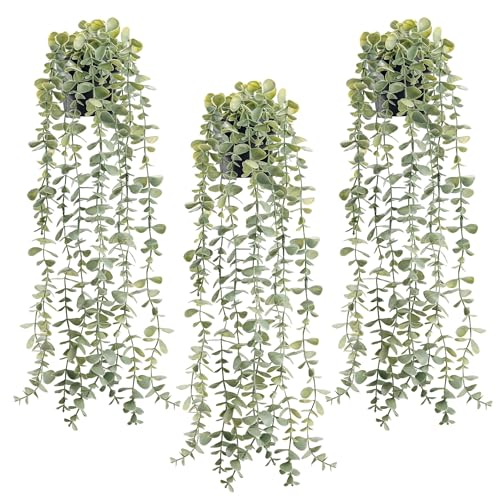 Der Rose 3Pcs Fake Plants Hanging Artificial Decor Faux Potted Eucalyptus Plants for Boho Bathroom Home Office Desk Wall Shelf Bookcase Accessories De