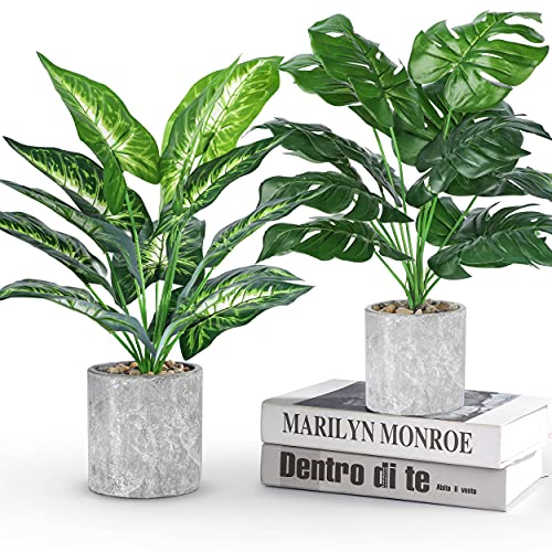 Der Rose 2 Pack Fake Plants Artificial Potted Faux Plants Indoor for Office Desk Home Farmhouse Decor Taro Leaf and Monstera Leaf