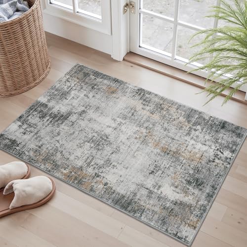 2 x 3 Small Area Rug Indoor Entryway Rug Machine Washable Non Slip Low Pile Carpet Modern Abstract Rugs for Bedroom Kitchen Powder Room Front Porch Ba