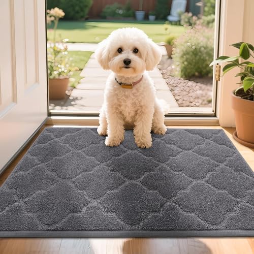 COSY HOMEER Front Door Mat 50x80 CM, Dirt Trapper Floor Mat, Polyester Welcome Door Mat for Kitchen Room Office Entryway Doors, Absorbent Non-Slip Ind