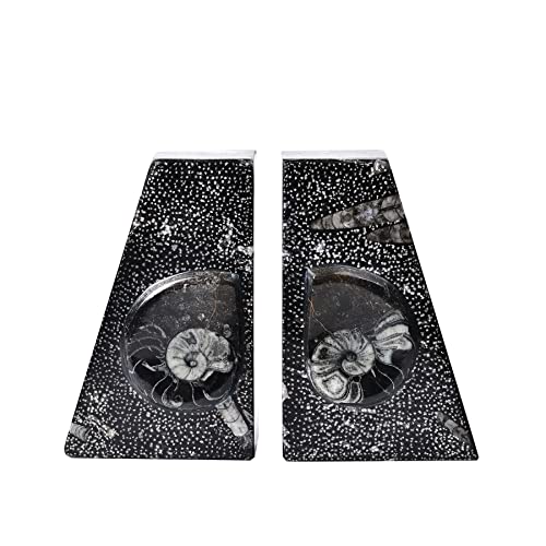 AMOYSTONE 1Pair Decorative Book Ends Natural Orthoceras Fossil Bookends Small 4-5 LBS Trapezoid Morocco Fossil Books Holder Height 4.7" 4-5 Lbs Black