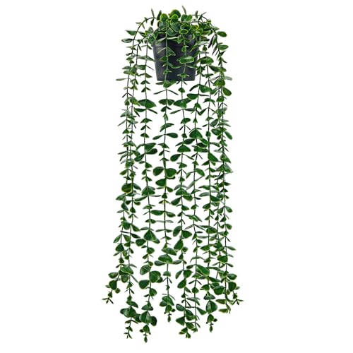 Der Rose 24.8'' Fake Hanging Plants Artificial Potted Eucalyptus Vine Plants Indoor and Outdoor for Office Home Living Room Bathroom Wall Shelf Decor