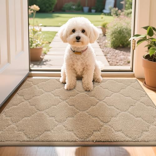 COSY HOMEER Front Door Mat 50x80 CM, Dirt Trapper Floor Mat, Polyester Welcome Door Mat for Kitchen Room Office Entryway Doors, Absorbent Non-Slip Low