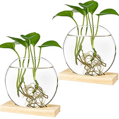 Kingbuy Round Glass Desktop Planter with Wooden Stand - Propagation Vase for Hydroponic Plants, Spider Plants, Pothos in Home Office Decor, 2-Pack, Be