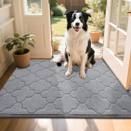 COSY HOMEER Front Door Mat 80x120 CM, Dirt Trapper Floor Mat, Polyester Welcome Door Mat for Kitchen Room Office Entryway Doors, Absorbent Non-Slip In