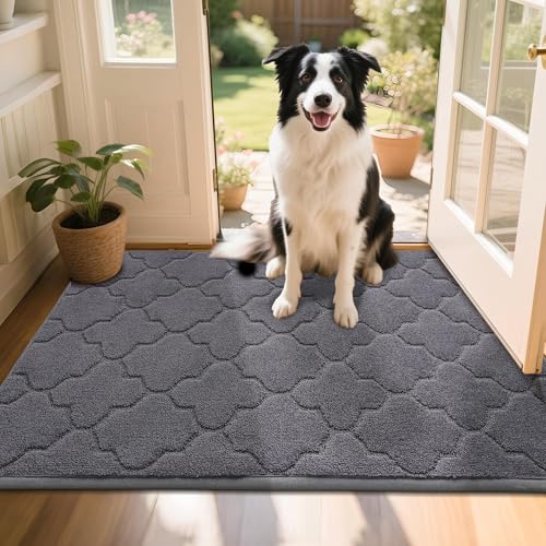 COSY HOMEER Front Door Mat 80x120 CM, Dirt Trapper Floor Mat, Polyester Welcome Door Mat for Kitchen Room Office Entryway Doors, Absorbent Non-Slip In