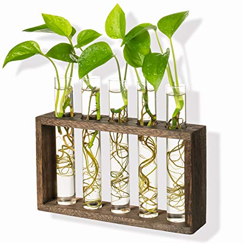 Kingbuy Wall Propagation Station with 5 Test Tube Vases - Vintage Wood Stand Wall Hanging Planter for Plants, Tabletop Terrarium Windowsill Decor Kitc