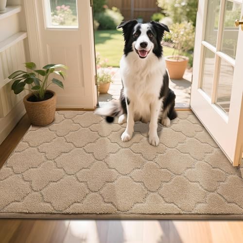 COSY HOMEER Front Door Mat 80x120 CM, Dirt Trapper Floor Mat, Polyester Welcome Door Mat for Kitchen Room Office Entryway Doors, Absorbent Non-Slip Lo